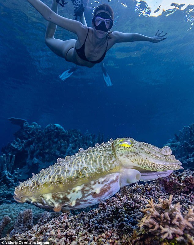 She shared photos and clips of herself exploring the ocean and snorkeling