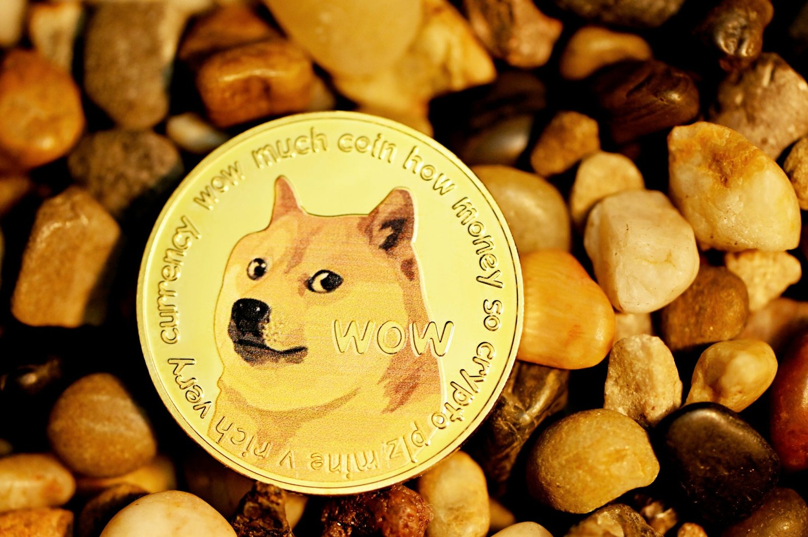 Historical Data Shows How High DOGE Will Go This Bull Cycle