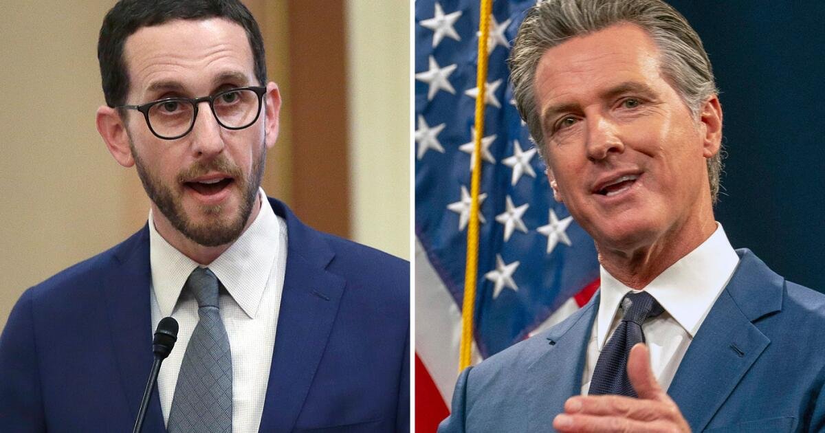 Newsom and a fellow Democrat spar over constitutional convention on gun control