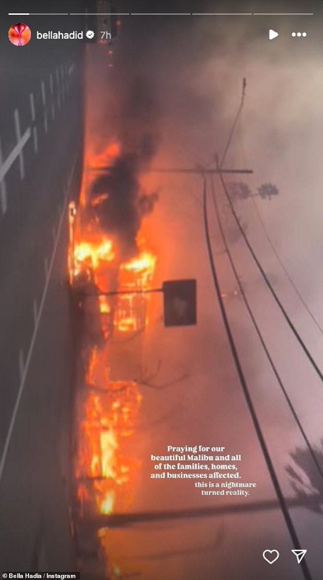 Hadid, 28, took to Instagram sharing a photo of Malibu burning. 'Praying for our beautiful Malibu and all of the families, homes, and businesses affected. This is a nightmare turned reality,' she wrote