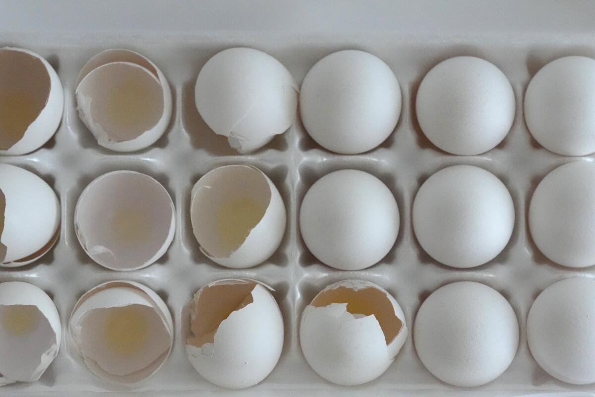 Used and unused eggs sit in a carton of 18 in a Chicago area home Tuesday, Jan. 10, 2023.