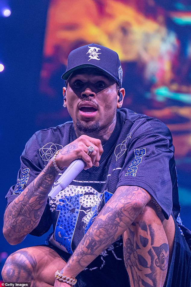 Brown, pictured in concert in Houston last summer, has suffered hits to his reputation and finances as result of the docuseries, his legal team said