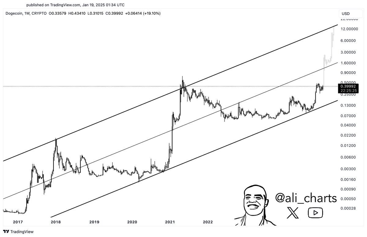 Dogecoin ETFs Will Skyrocket Price To , Forecasts Analyst