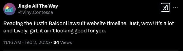 Another wrote: 'Reading the Justin Baldoni lawsuit website timeline. Just, wow! It's a lot and Lively, girl, it ain't looking goof for you'