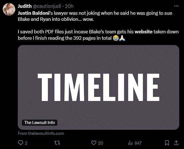 'Justin Baldoni's lawyer was not joking when he said he was going to sue Blake and Ryan into oblivion... wow...,' a third wrote. 'I saved both PDF files just in case Blake's team gets his website taken down before I finish reading the 392 pages in total'