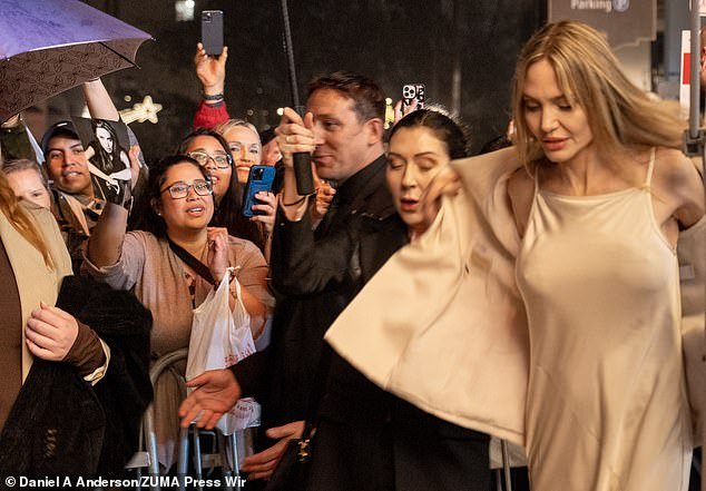 Fans waved as Jolie made her way to the red carpet