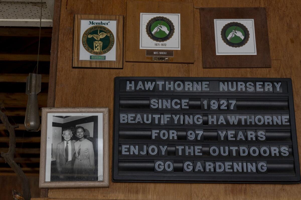 A photo, plaques and a Hawthorne Nursery sign hang on a brown wall