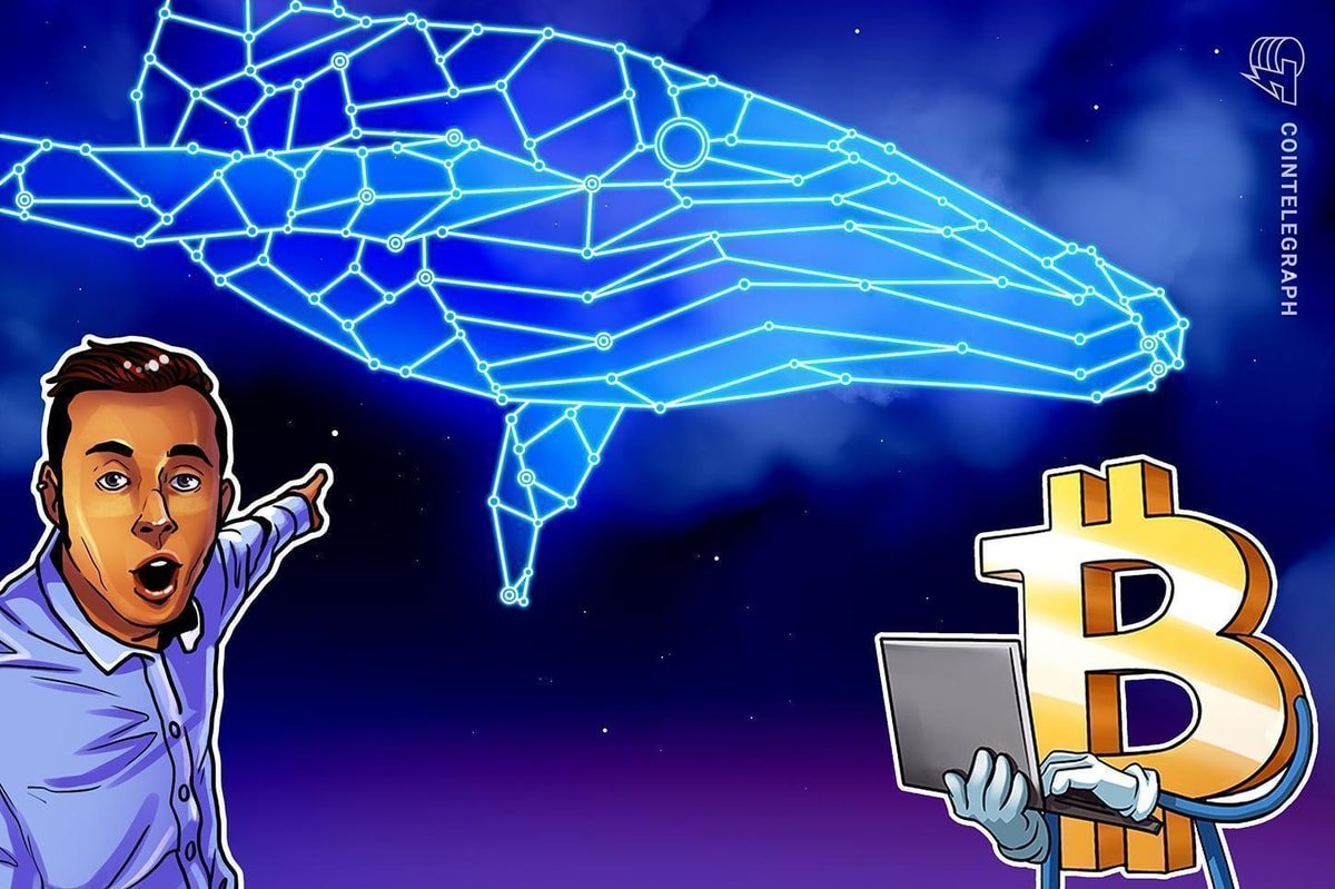 Bitcoin whale bets 8M with 40x leverage on BTC decline ahead of FOMC